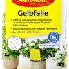 Aeroxon Gelbfalle - 10 Stück